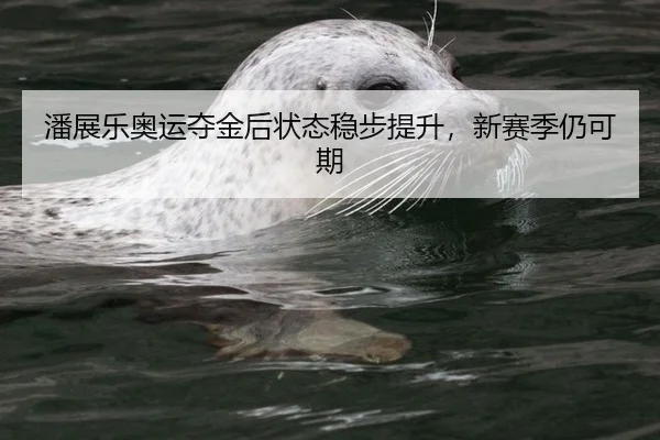 潘展乐奥运夺金后状态稳步提升，新赛季仍可期