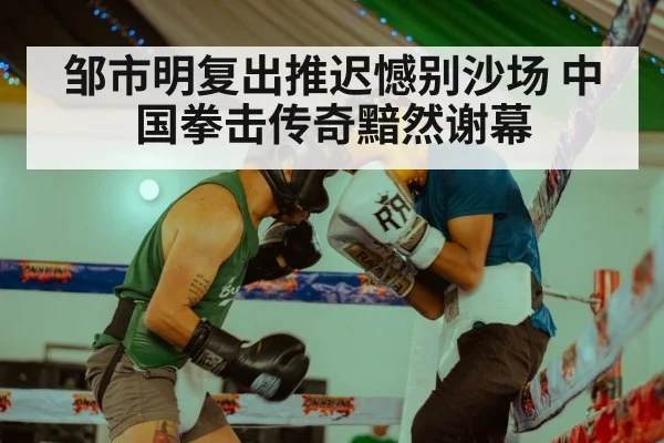 邹市明复出推迟憾别沙场 中国拳击传奇黯然谢幕